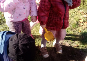 Dzieci sadza drzewko z uzyciem łopatek